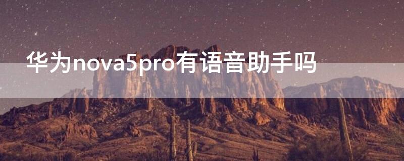 华为nova5pro有语音助手吗（华为nova5有语音助手吗?）