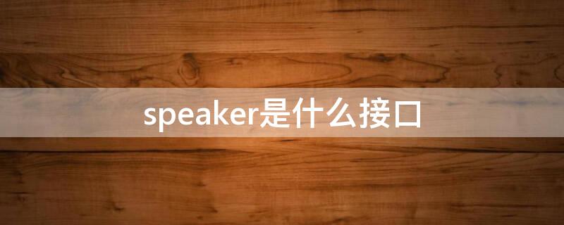 speaker是什么接口 音箱speaker是什么接口