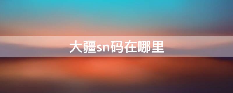 大疆sn码在哪里（大疆产品sn码是什么）