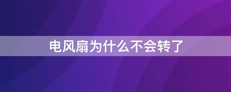 电风扇为什么不会转了 电风扇 不会转