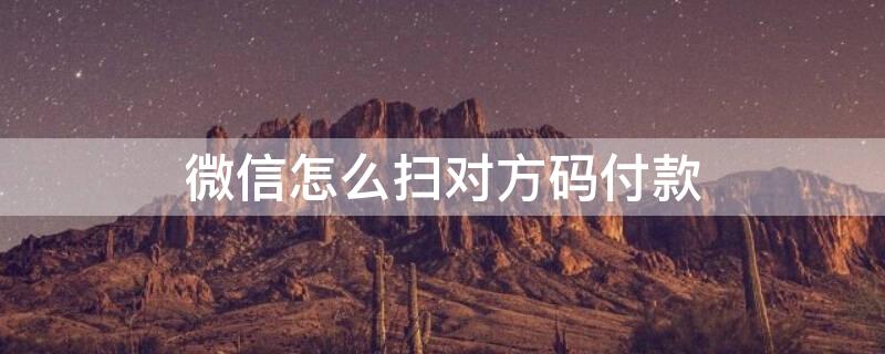 微信怎么扫对方码付款（微信怎么扫对方码付款码）