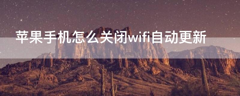 iPhone手机怎么关闭wifi自动更新 iphone如何关闭wifi自动更新