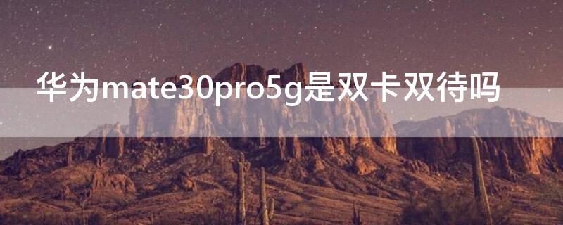 华为mate30pro5g是双卡双待吗 华为mate305G是双卡双待吗