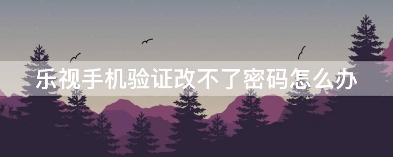 乐视手机验证改不了密码怎么办 乐视手机验证改不了密码怎么办呢