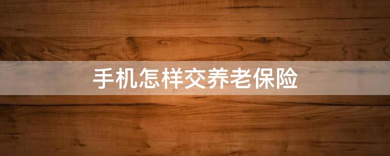 手机怎样交养老保险 手机怎样交养老保险 农村