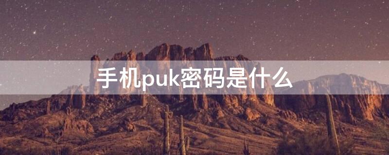 手机puk密码是什么（手机puk密码是什么意思）