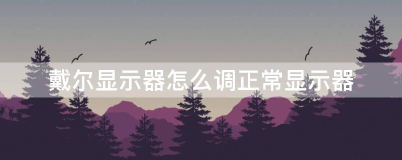 戴尔显示器怎么调正常显示器（戴尔显示器设置方法）
