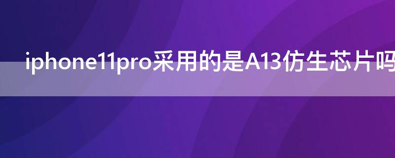 iPhone11pro采用的是A13仿生芯片吗（iphone11是a14仿生芯片吗）