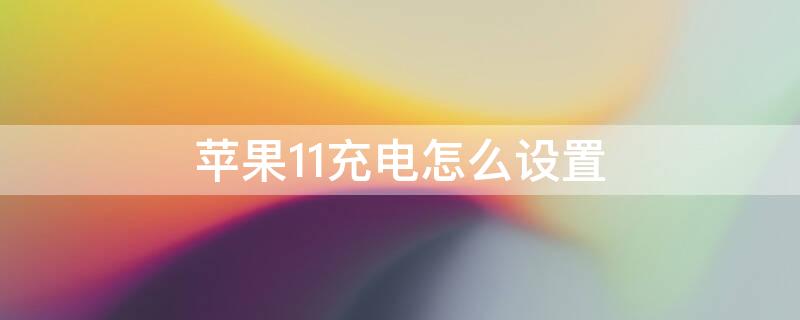 iPhone11充电怎么设置（iphone12充电怎么设置）