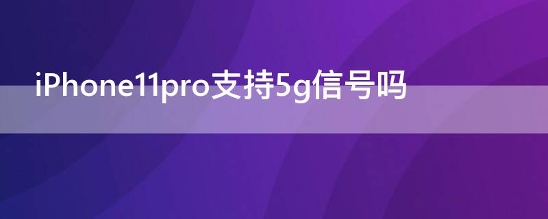 iPhone11 Pro Max支持5g信号吗