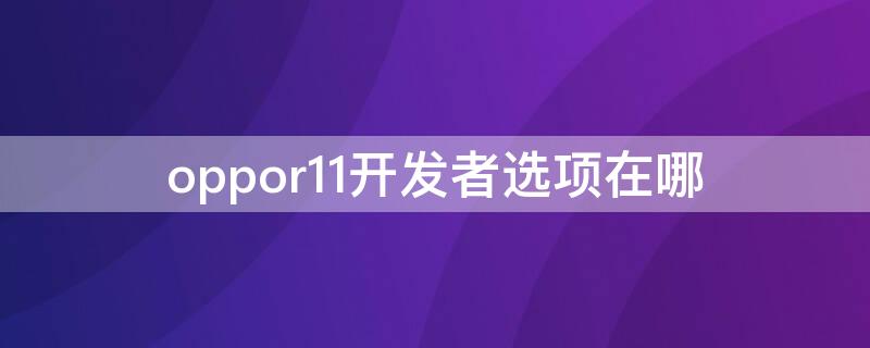 oppor11开发者选项在哪（oppor11plus开发者选项在哪）