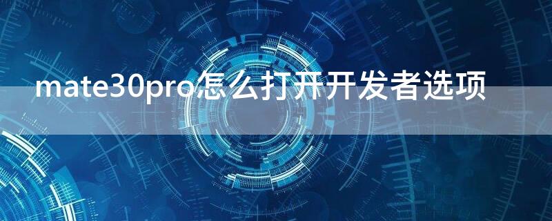 mate30pro怎么打开开发者选项（华为mate30pro开发者选项在哪里）