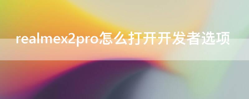 realmex2pro怎么打开开发者选项（realmex2pro开发者选项在哪）