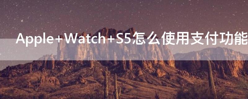 Apple Watch S5怎么使用支付功能