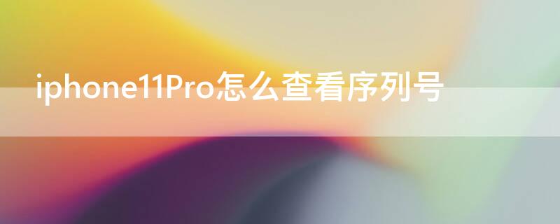 iPhone11Pro怎么查看序列号 iphone11pro序列号查询