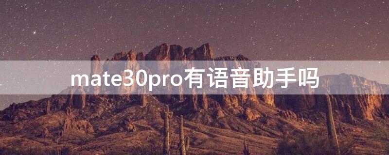 mate30pro有语音助手吗（华为mate30pro有语音助手吗）