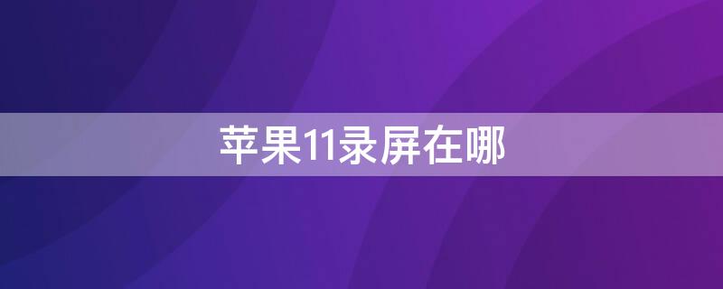 iPhone11录屏在哪（iphone11录屏怎么没有声音）