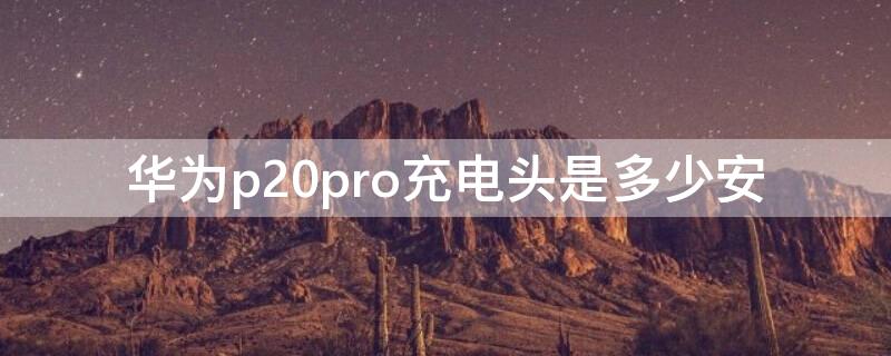 华为p20pro充电头是多少安 华为p20pro充电口是什么型号