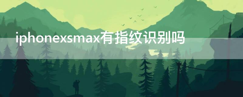 iPhonexsmax有指纹识别吗（iphone xsmax指纹识别在哪里）