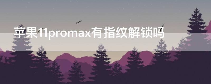 iPhone11promax有指纹解锁吗（apple11pro max有指纹解锁吗）