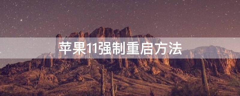 iPhone11强制重启方法 iphone 11强制重启方法