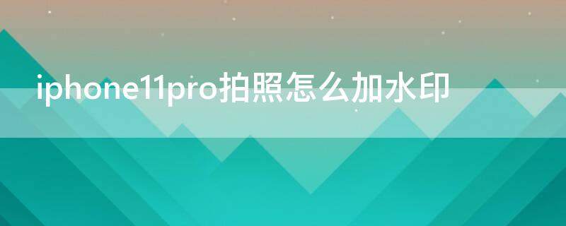 iPhone11pro拍照怎么加水印（苹果11pro拍照水印怎么设置）