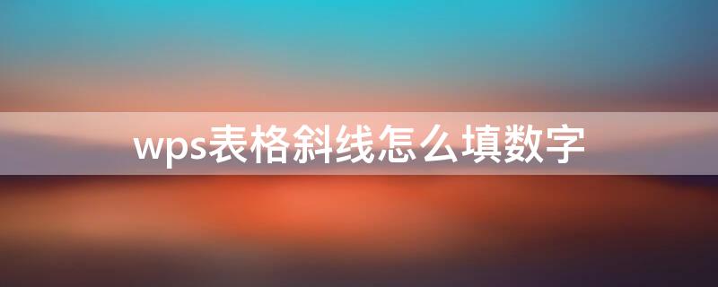 wps表格斜线怎么填数字（wps怎么把表格斜线）