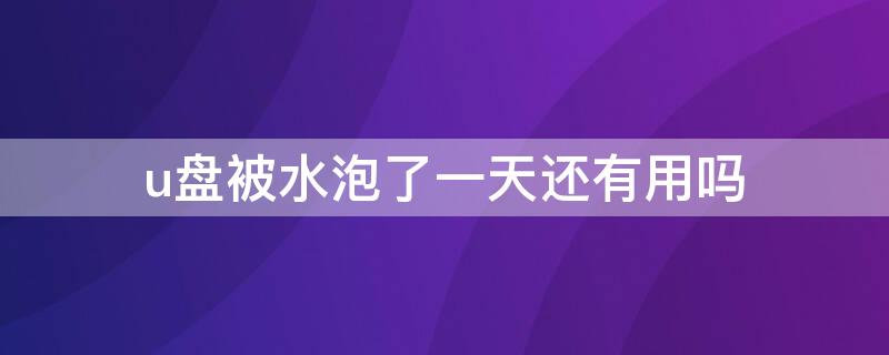 u盘被水泡了一天还有用吗（u盘被水泡了半天）