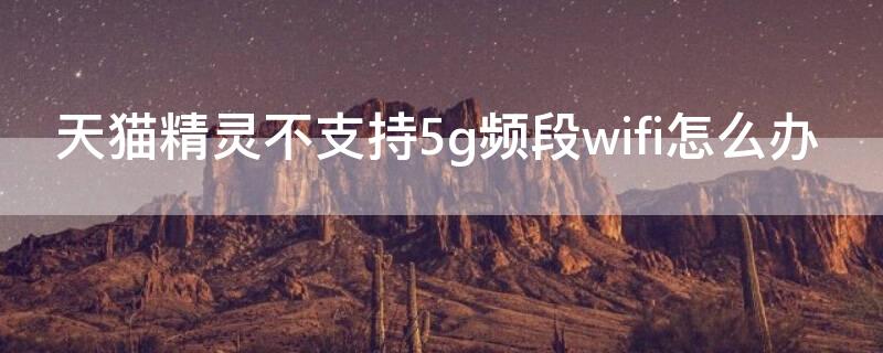 天猫精灵不支持5g频段wifi怎么办 天猫精灵支不支持5GWifi