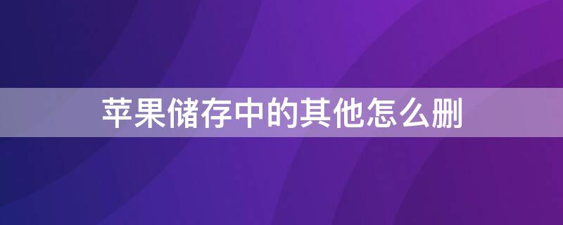 iPhone储存中的其他怎么删（苹果储存其他怎么删）