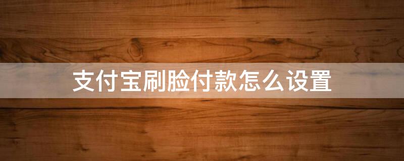 支付宝刷脸付款怎么设置（支付宝刷脸付款怎么设置我给别人付款为什么不用花呗呢）