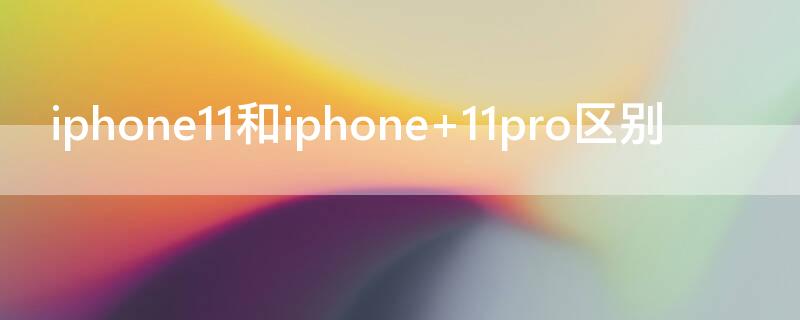 iPhone11和iPhone iphone11和iphone11pro