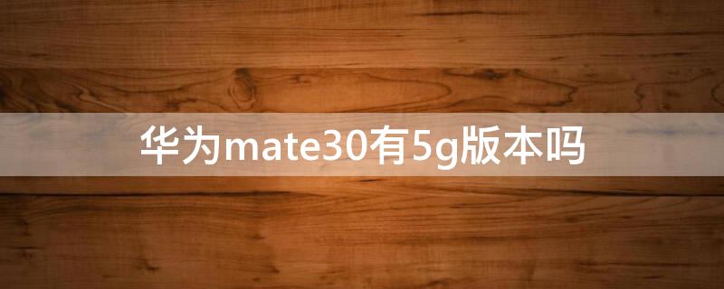 华为mate30有5g版本吗 华为mate30 5g版本