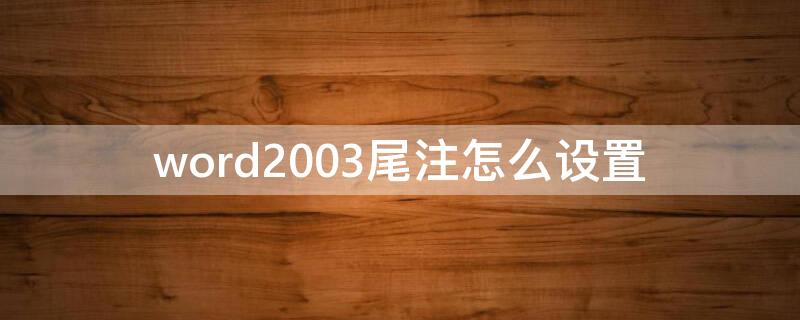 word2003尾注怎么设置（word2003脚注和尾注）