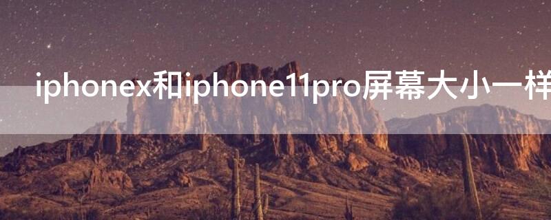 iPhonex和iPhone11pro屏幕大小一样吗 iphonex和iphone12pro屏幕大小一样吗