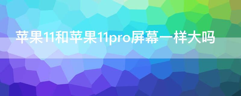 iPhone11和iPhone11pro屏幕一样大吗 iPhone11和iPhone11pro屏幕大小