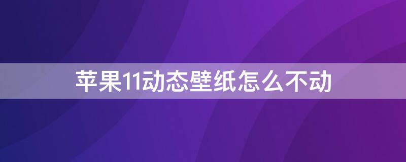 iPhone11动态壁纸怎么不动 iphone12动态壁纸怎么不动