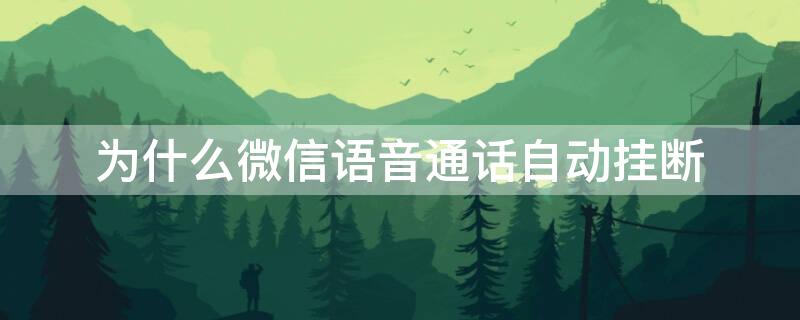 为什么微信语音通话自动挂断（为什么微信语音通话自动挂断还没有记录）