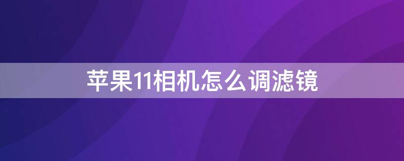 iPhone11相机怎么调滤镜 iphone 11怎么调滤镜