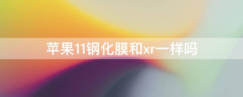 iPhone11钢化膜和xr一样吗（iphone11和xr的钢化膜一样吗）