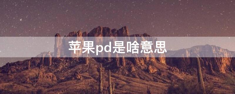 iPhonepd是啥意思 苹果pod是什么意思