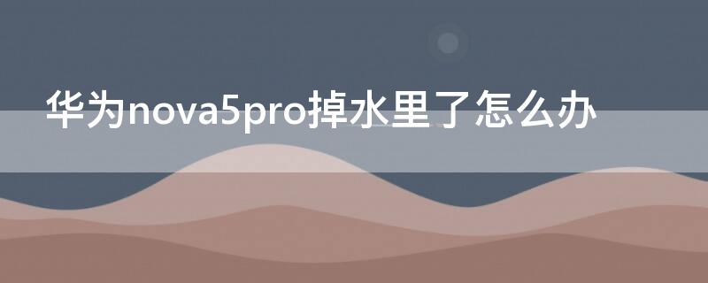 华为nova5pro掉水里了怎么办（华为nova5ipro掉水里了怎么办）