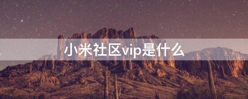 小米社区vip是什么（小米社区vip是什么意思）