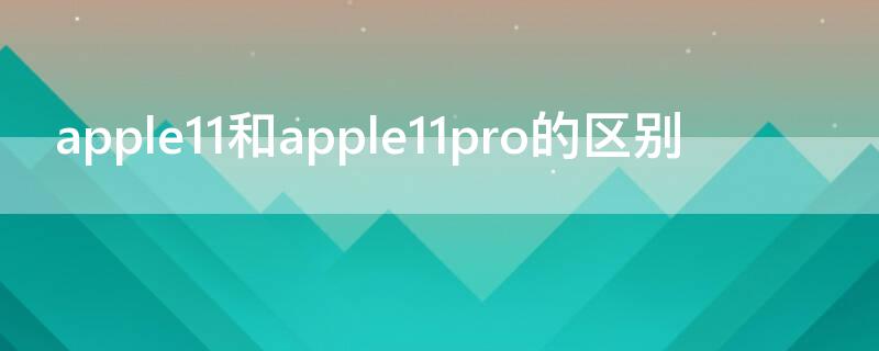 apple11和apple11pro的区别（iphone11pro和iPhone11区别）