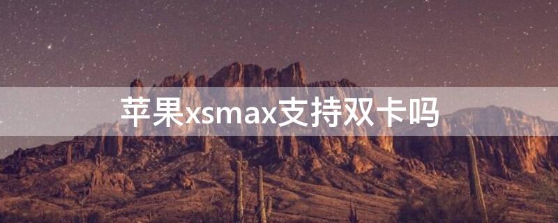 iPhonexsmax支持双卡吗（iphonexsmax支持双卡双待吗）