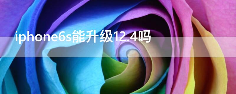 iPhone6s能升级12.4吗（iphone6s可以升级ios12）
