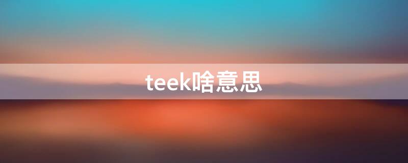 teek啥意思