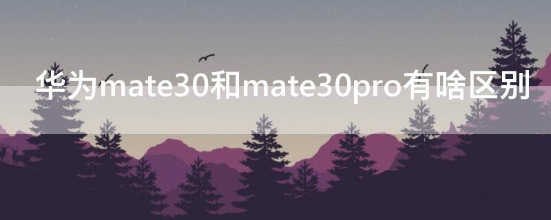 华为mate30和mate30pro有啥区别（华为mate30和mate30pro哪个更值得入手）