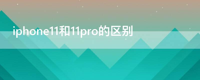 iPhone11和11pro的区别 苹果11和11pro max参数对比