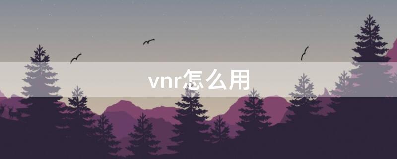 vnr怎么用（vnr怎么用特殊码）